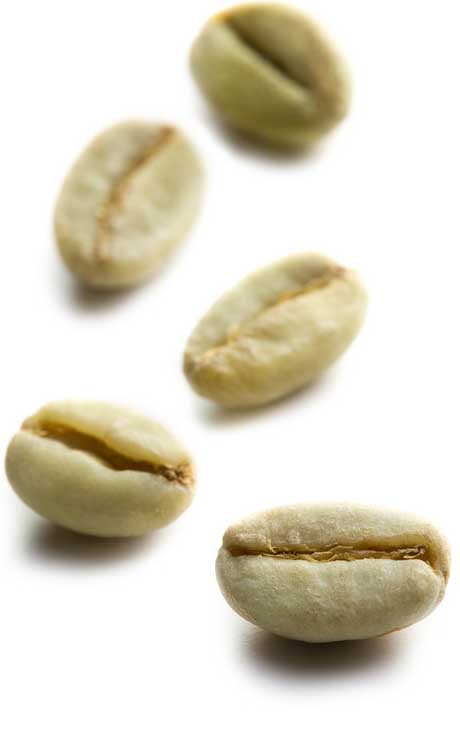 Qu'est-ce que du café en grain ? - L'Arbre à Café